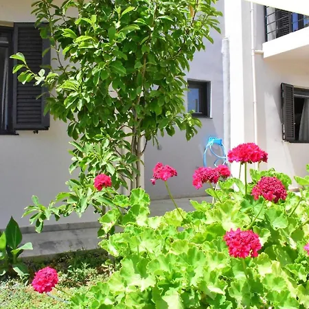 Casa Luminosa Διαμέρισμα *